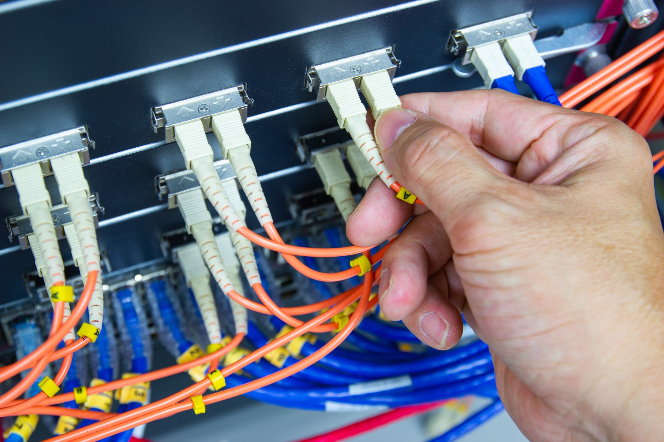 Hand plugging fibre cable into IP transit switch
