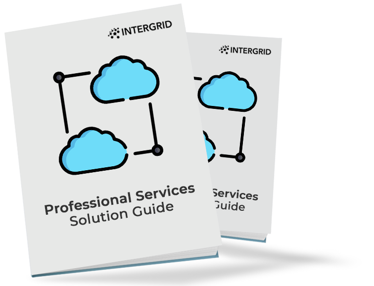 Professional Services eBook